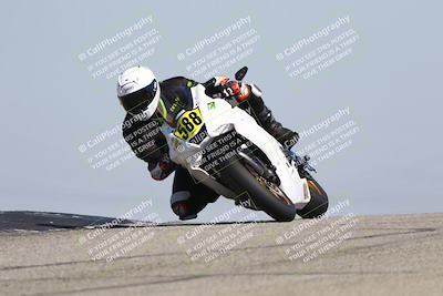 media/Mar-24-2025-2WTD (Mon) [[55b4b08488]]/A Group/11am (Outside Grapevine)/